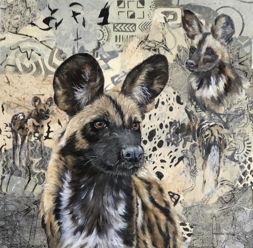 African Painted Dog at Manna Pools 2